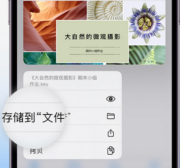 永丰apple维修中心分享iPhone文件应用中存储和找到下载文件