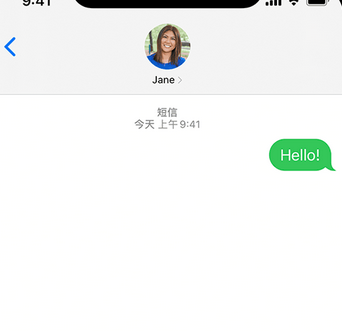 永丰apple维修iPhone上无法正常发送iMessage信息