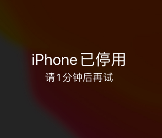 永丰苹果手机维修分享:iPhone 显示“不可用”或“已停用”怎么办？还能保留数据吗？ 