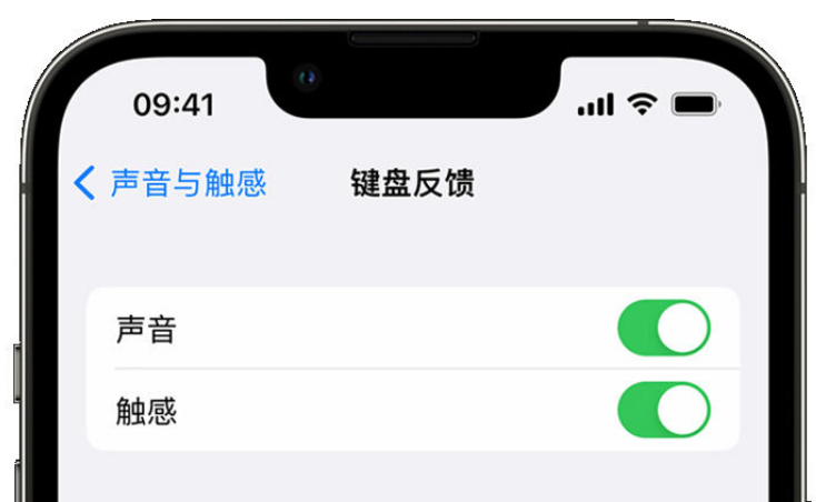 永丰苹果手机维修分享iPhone 14触感键盘使用方法 