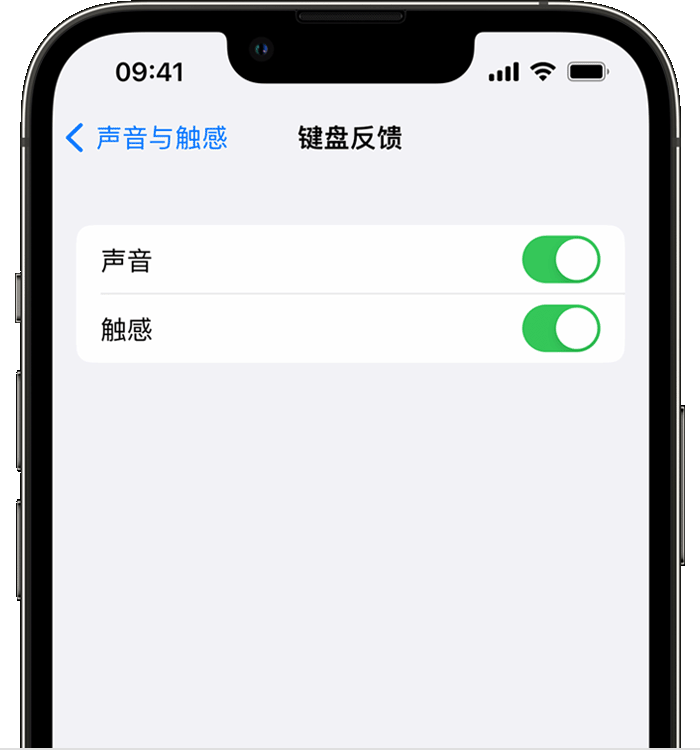 永丰苹果14维修店分享如何在 iPhone 14 机型中使用触感键盘 