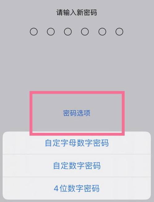 永丰苹果14维修分享iPhone 14plus设置密码的方法 