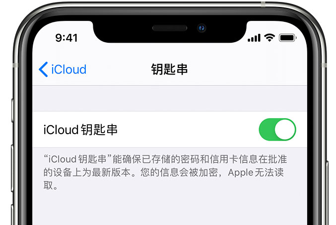 永丰苹果手机维修分享在 iPhone 上开启 iCloud 钥匙串之后会储存哪些信息 