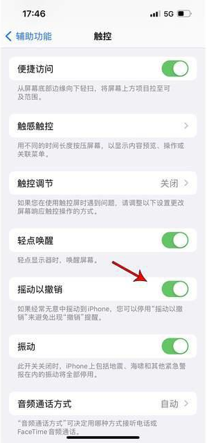 永丰苹果手机维修分享iPhone手机如何设置摇一摇删除文字 